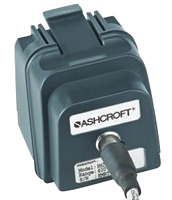 Ashcroft AM2-RT RTD Interface Module