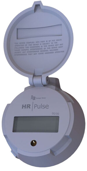 Badger Meter Recordall Registration and Endpoint