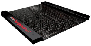 Rice Lake RoughDeck BDP Floor Scale