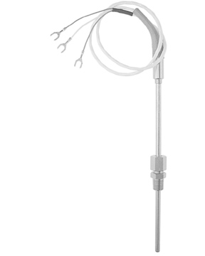 E+H TH12 RTD Sensor